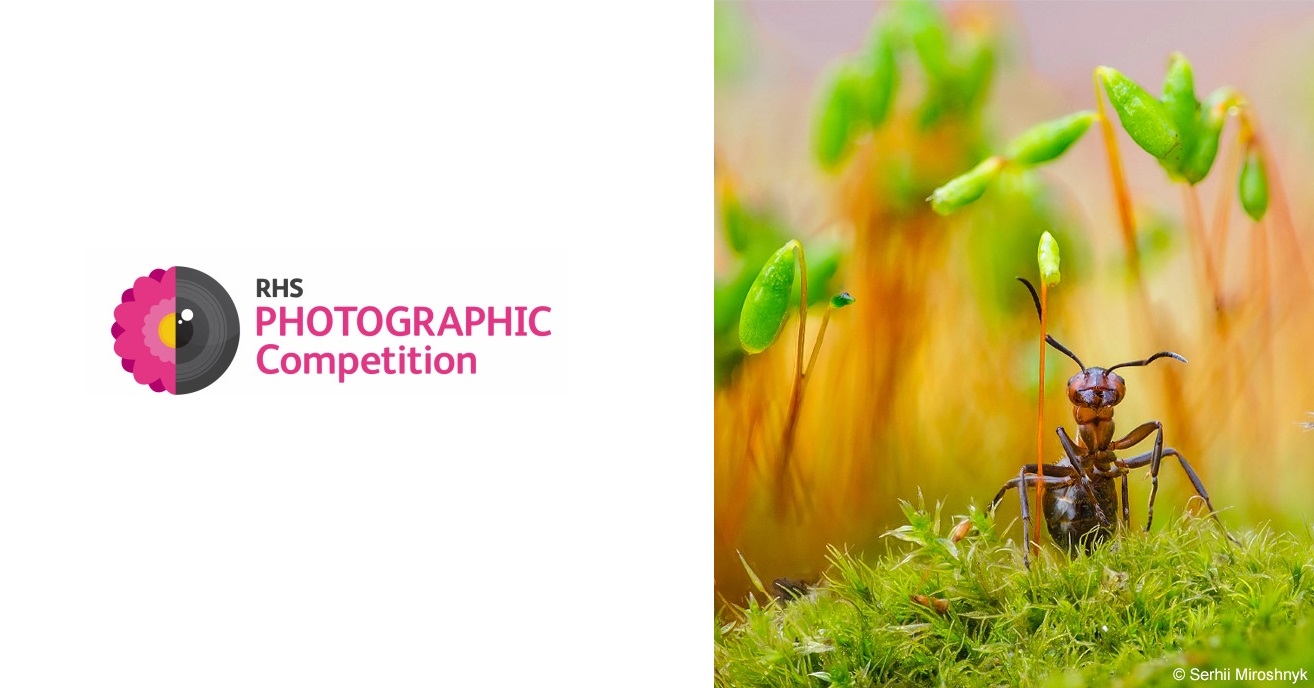 RHS Photographic Competition 2022