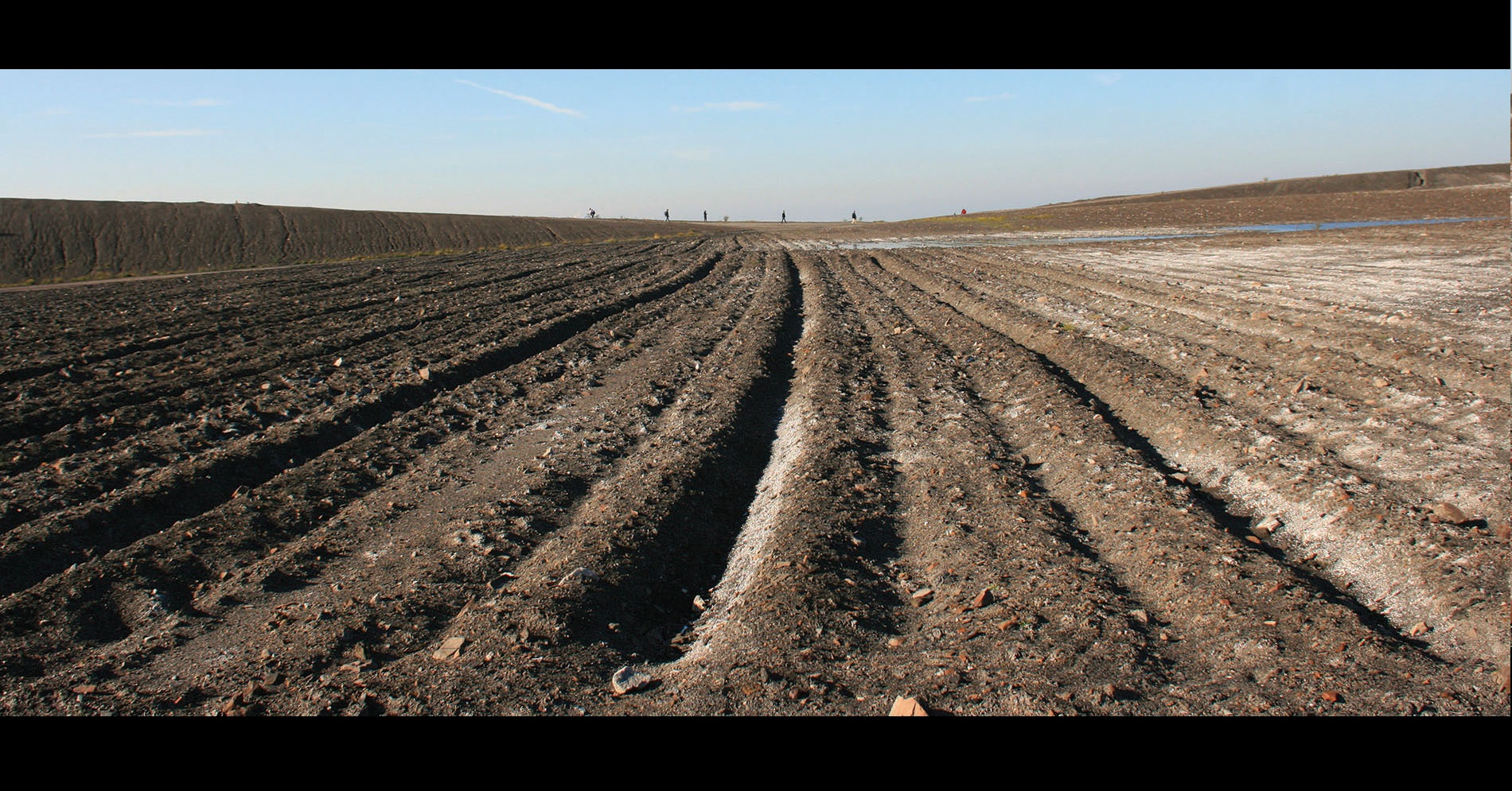 Food and Agriculture Organization of the United Nations (FAO) Photo Contest on Salt-Affected Soils 2021